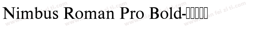 Nimbus Roman Pro Bold字体转换